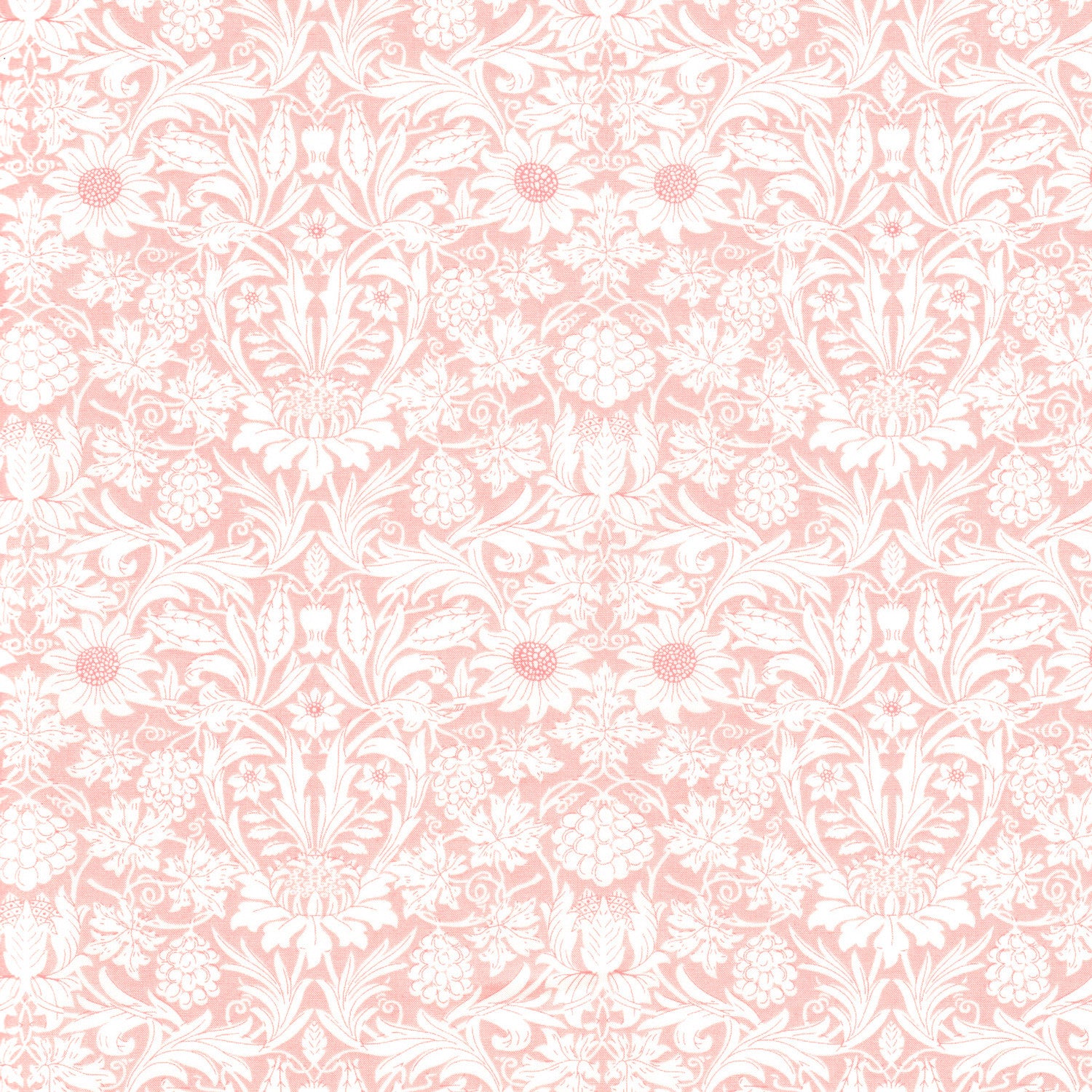 Mortimer Pink (C)