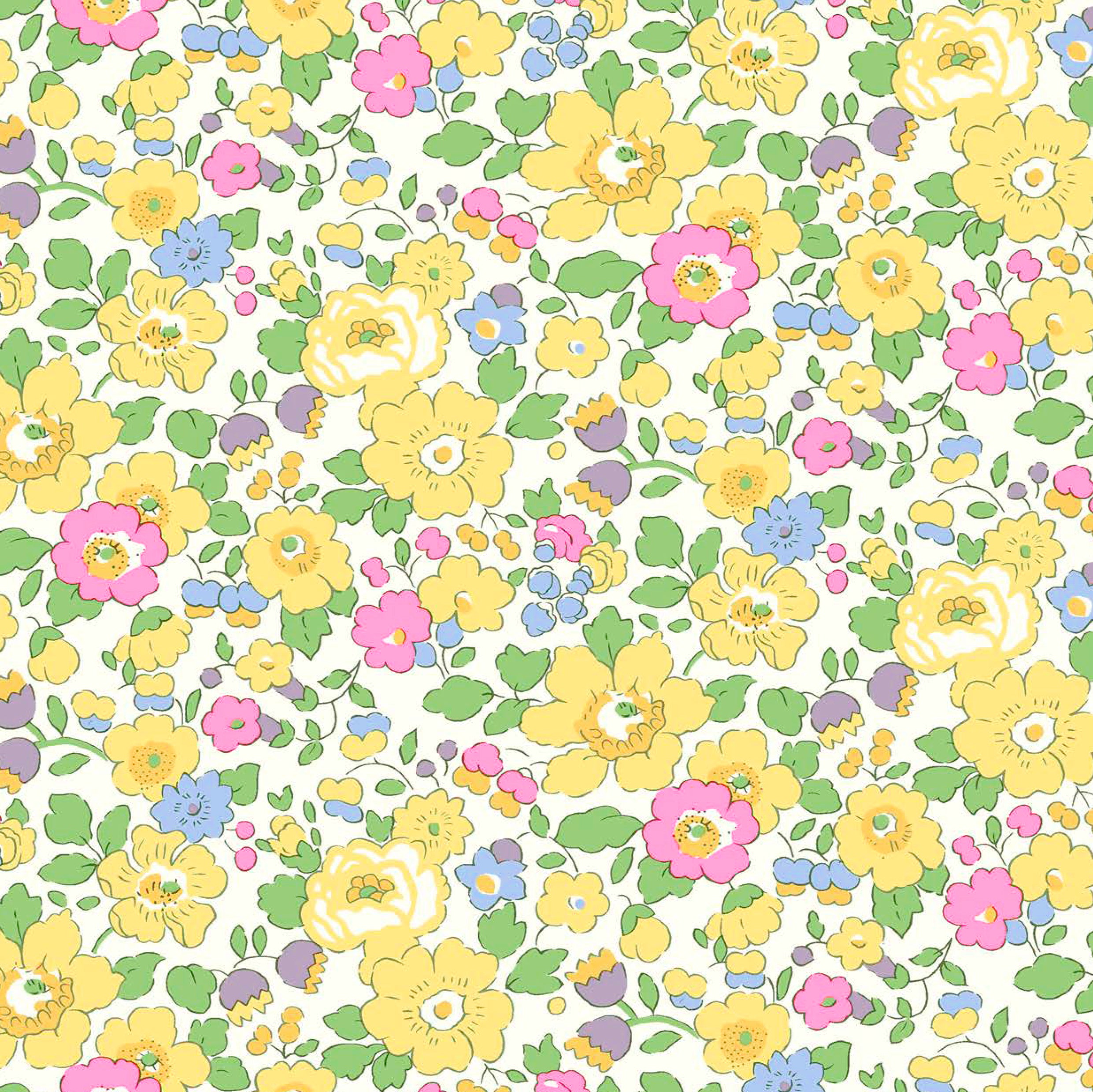 Organic Betsy (A)