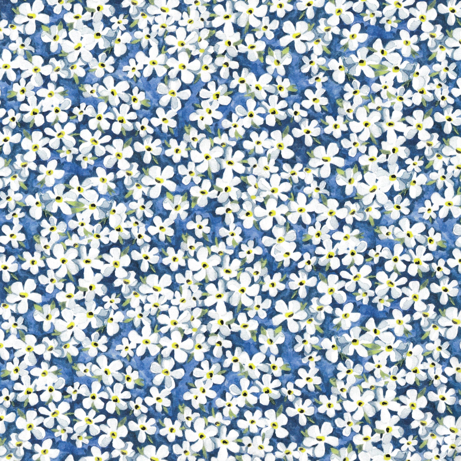 Petal Wish (B)