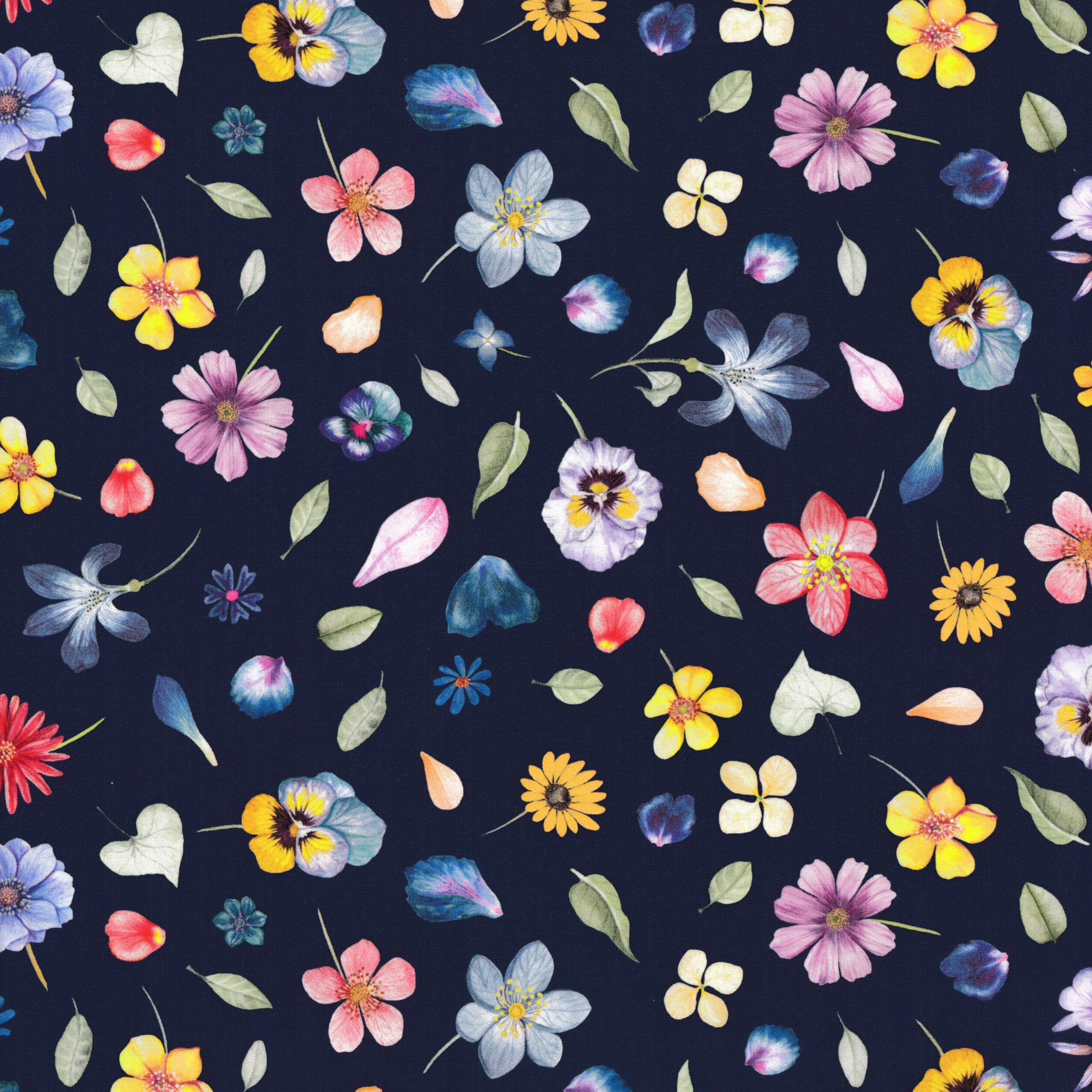 Phyls Flower (B)