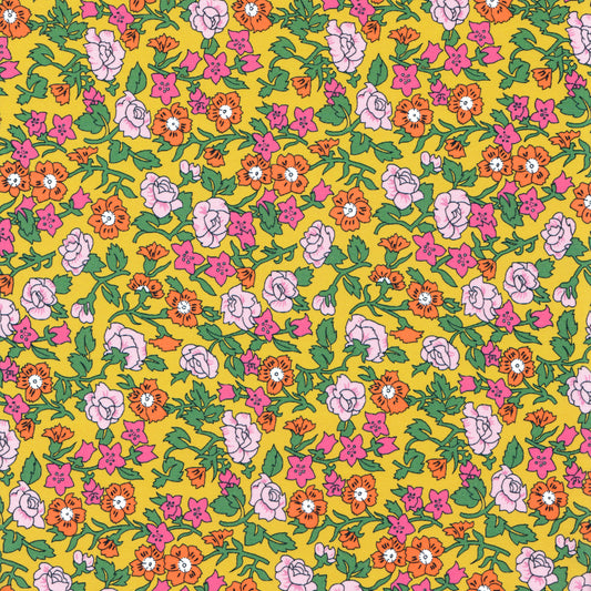 Organic Pipkin Meadow (B)