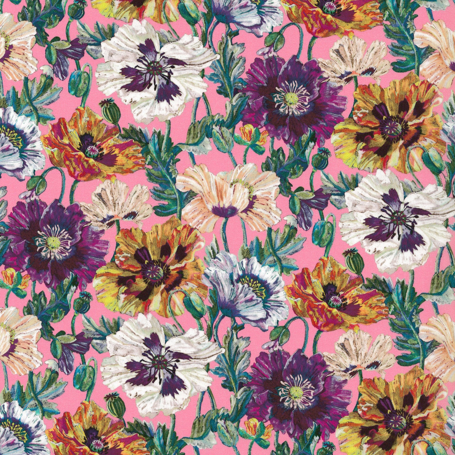 Poppy Amelie (C)