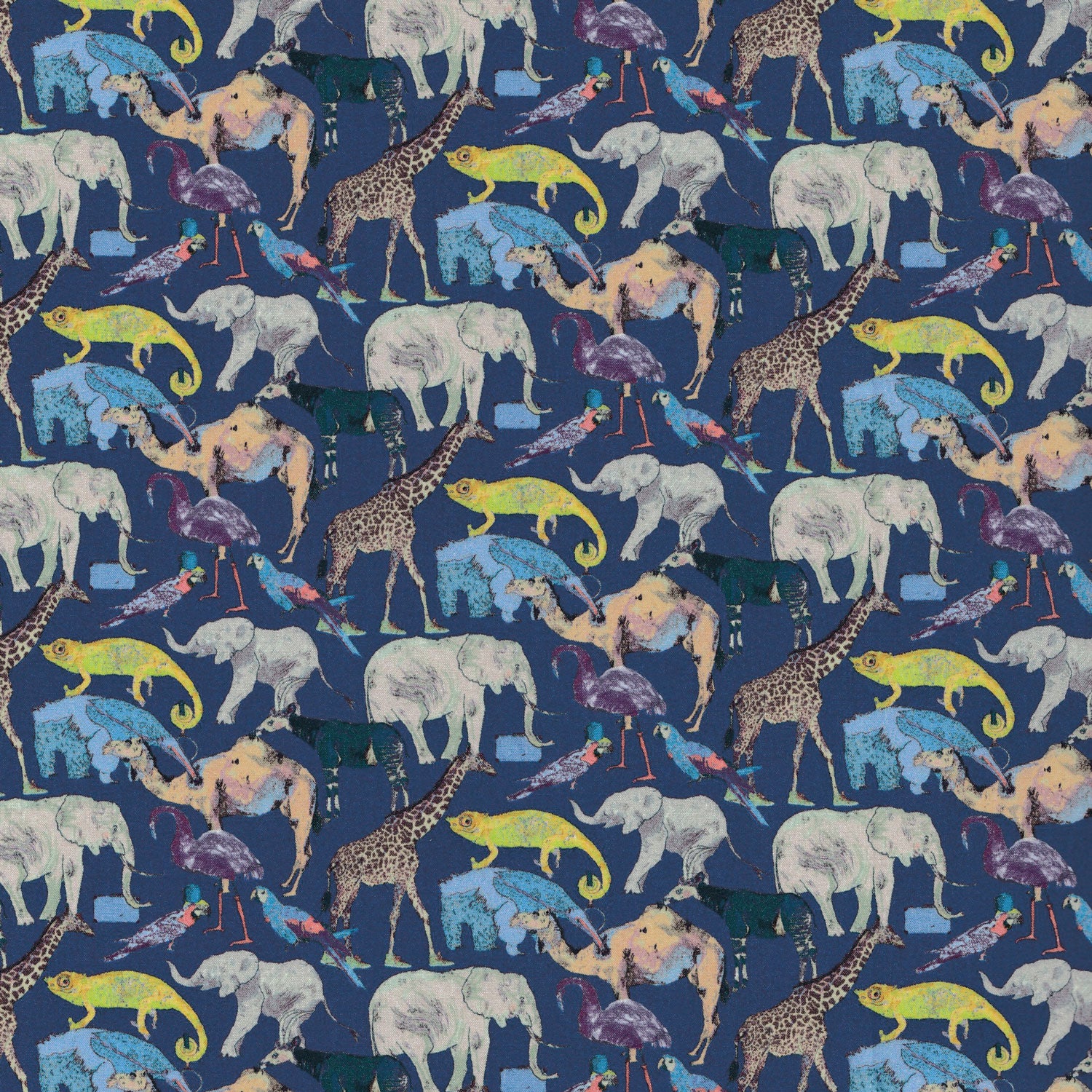 Queue for the Zoo (H)