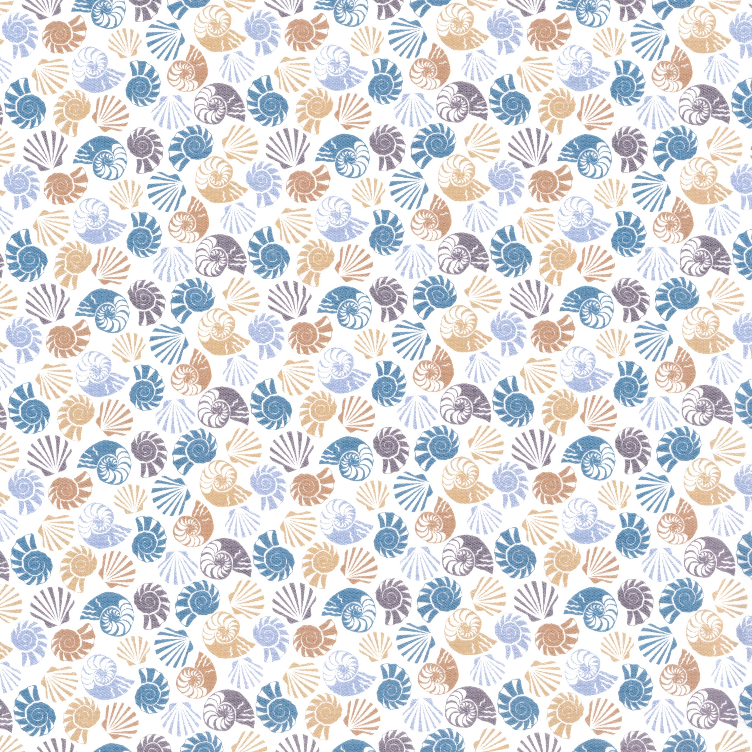 She Sells Sea Shells (A)