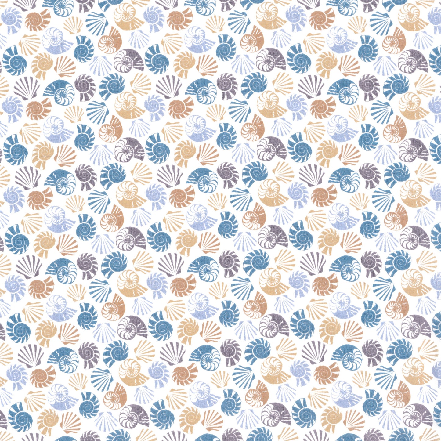 She Sells Sea Shells (A)