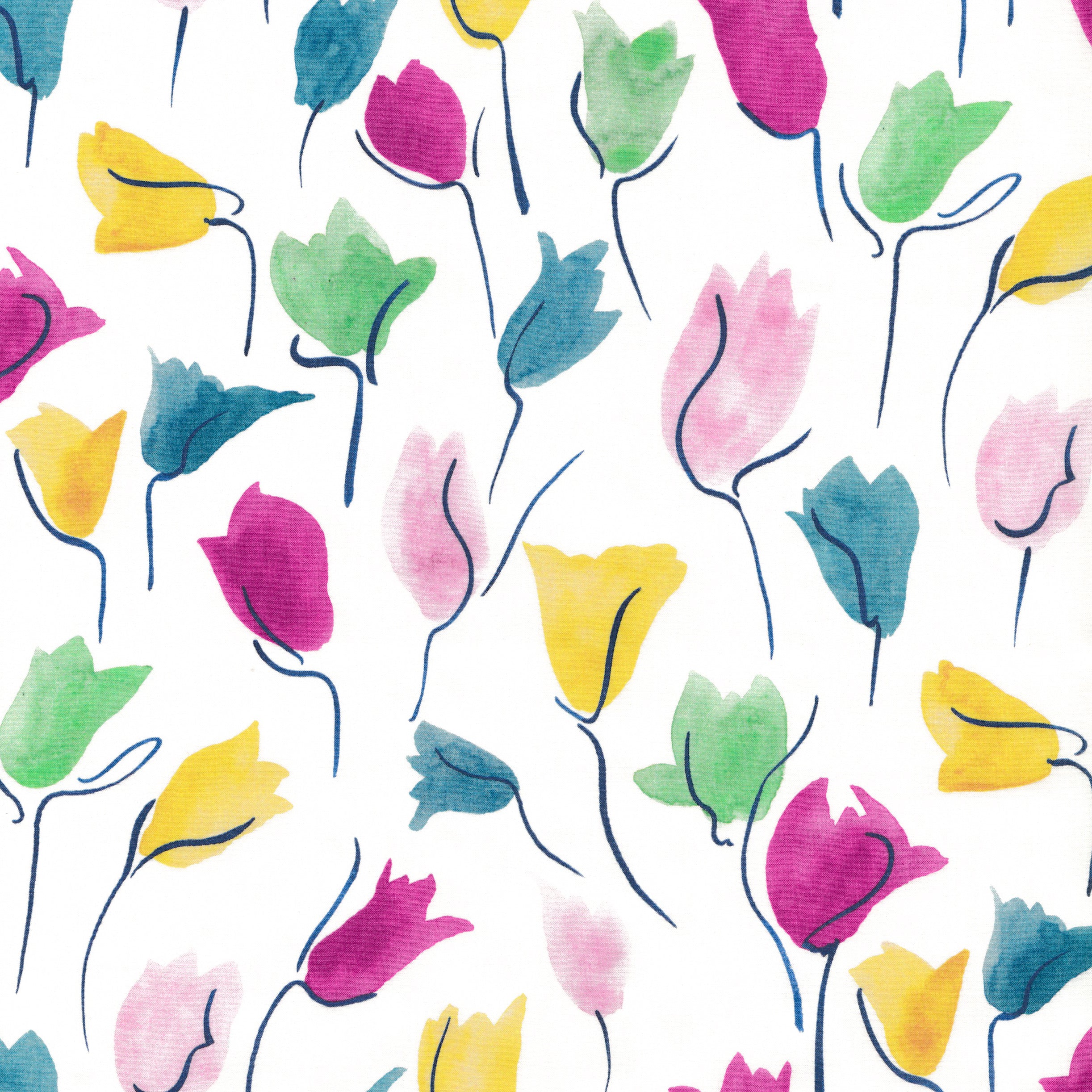 Tulip Shadow (C)
