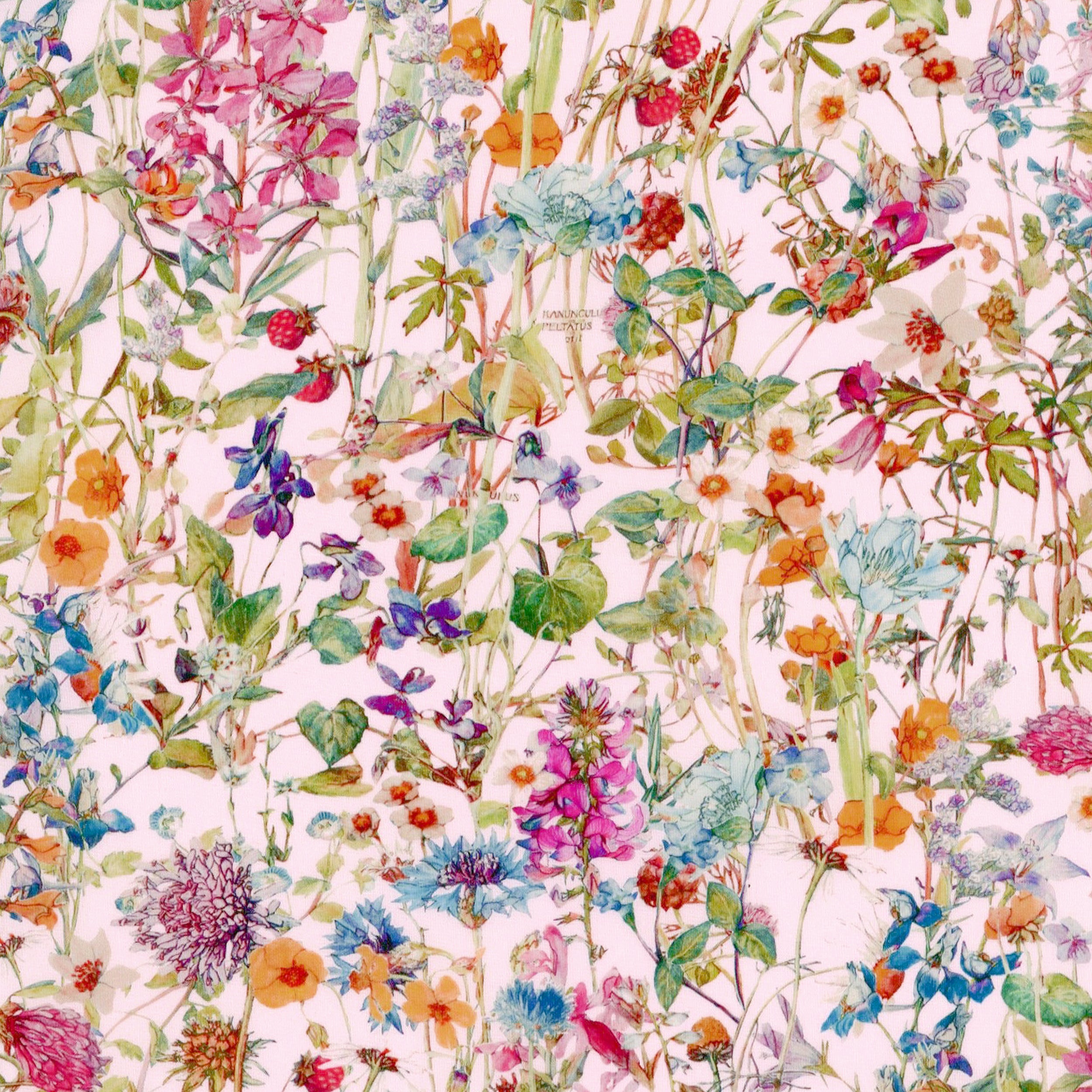 Wild Flowers (L)