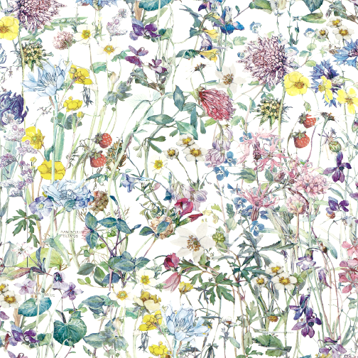 Wild Flowers (A)