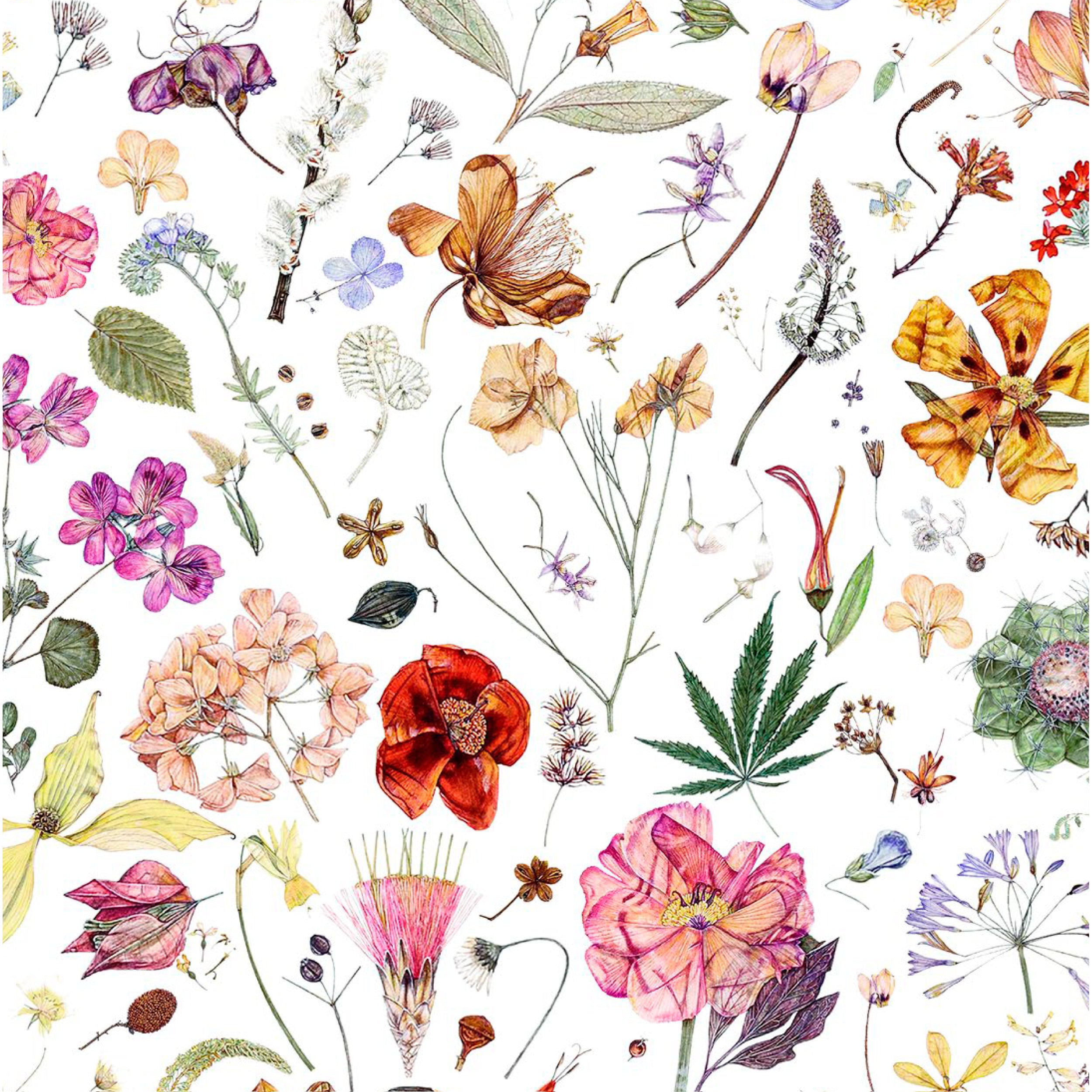 Floral Eve (A)