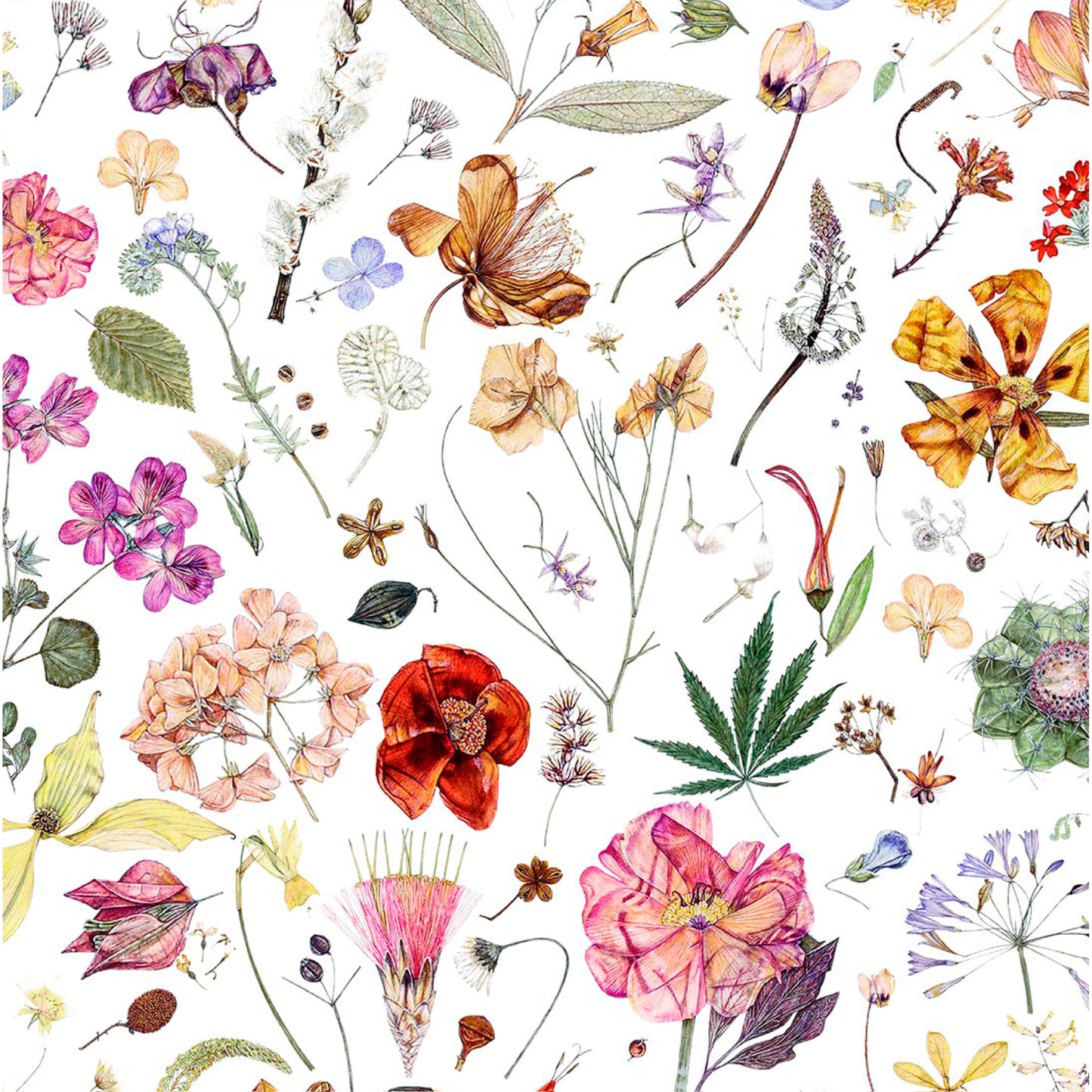 Floral Eve (A)