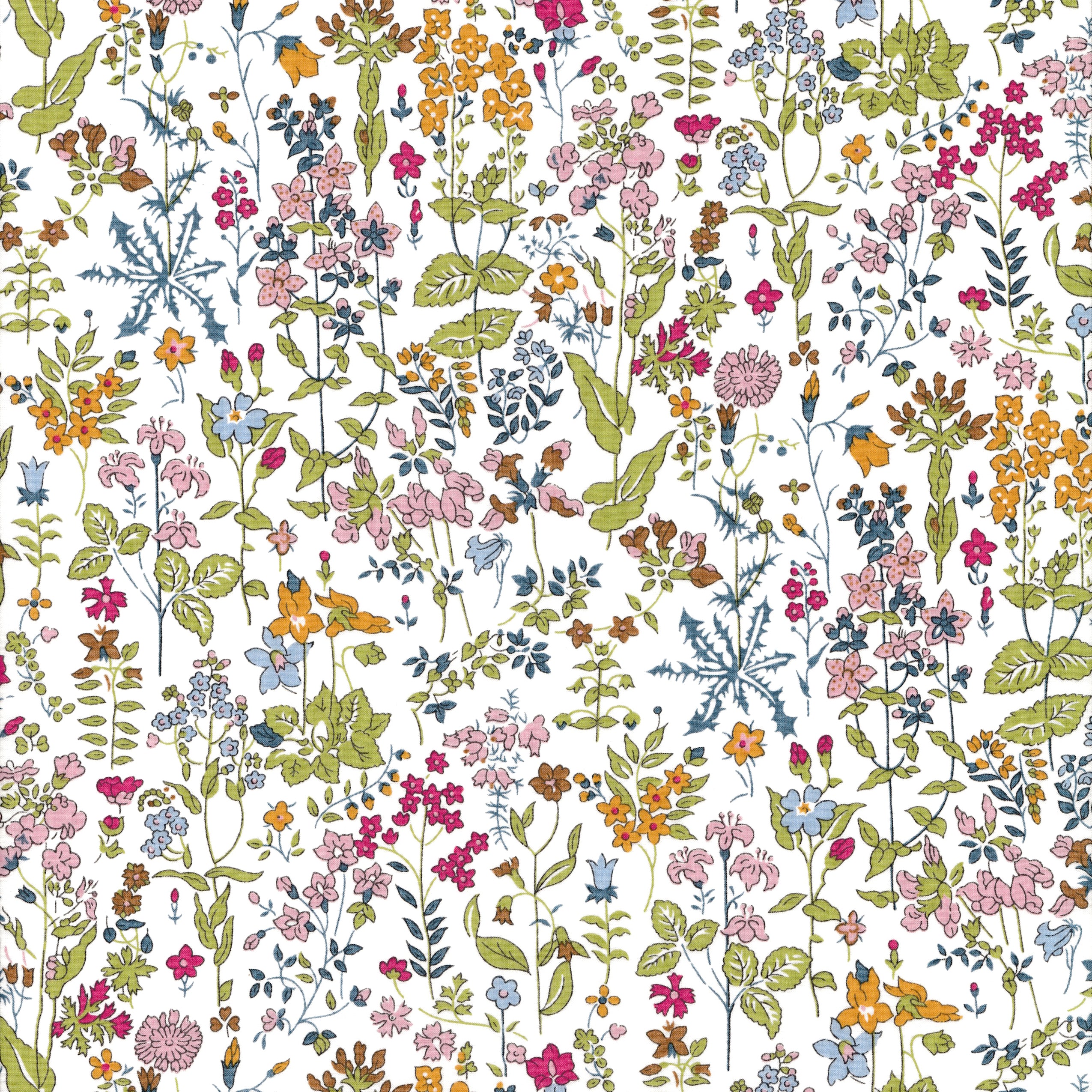 Organic Field Flowers (B)