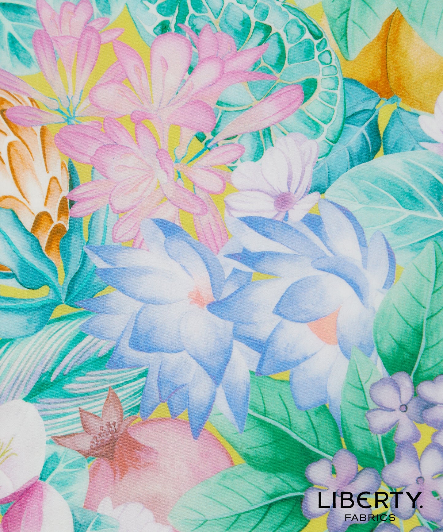 Poppy and Freddie (A)