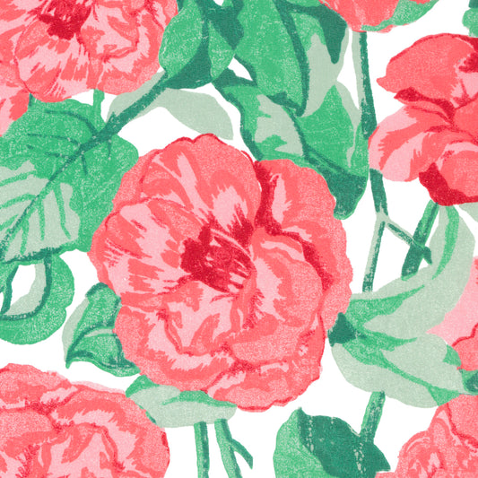 Organic Archive Camellia (C)