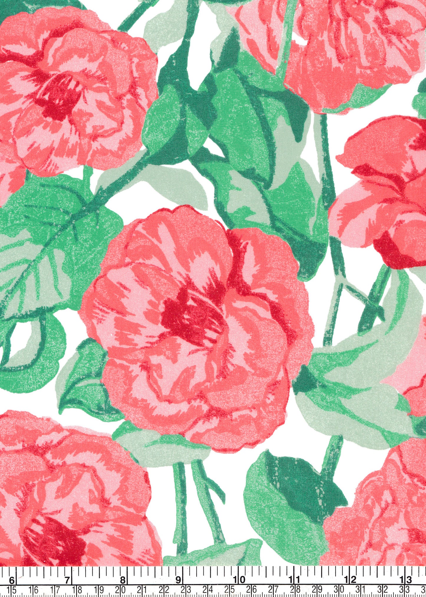 Organic Archive Camellia (C)