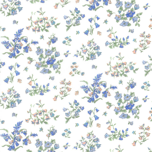 Bluebell Fields (C)