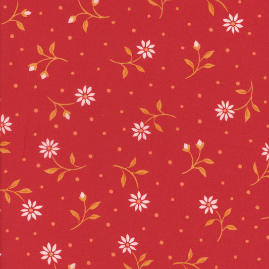 Bryony Daisy (A)