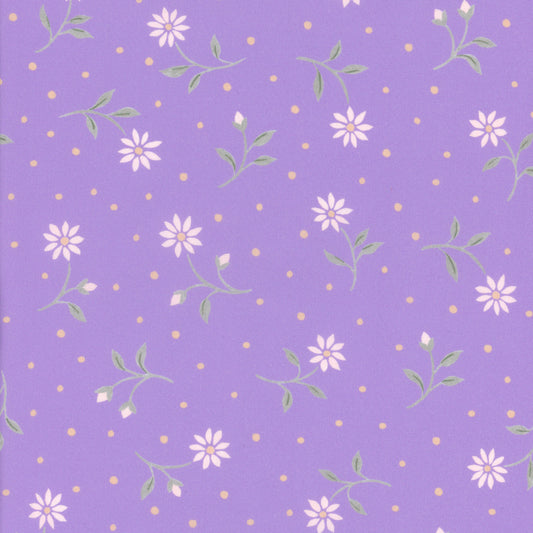 Bryony Daisy (B)