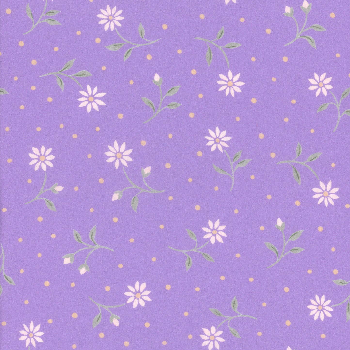 Bryony Daisy (B)