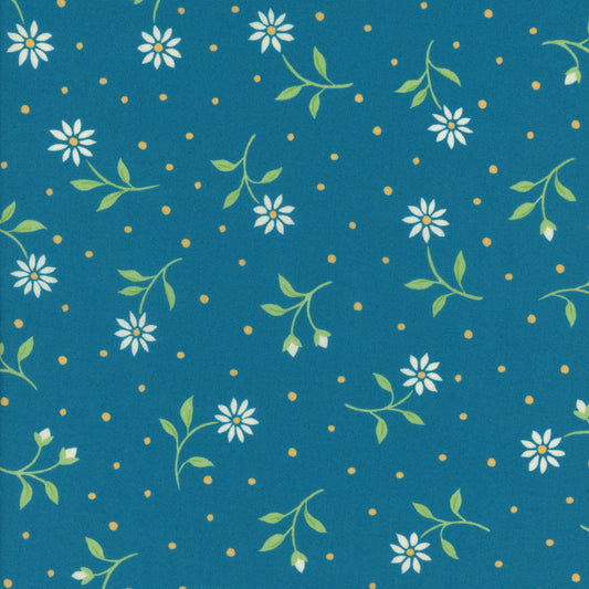Bryony Daisy (C)