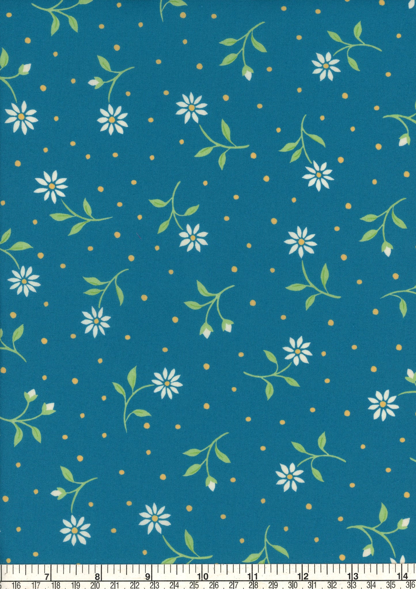Bryony Daisy (C)
