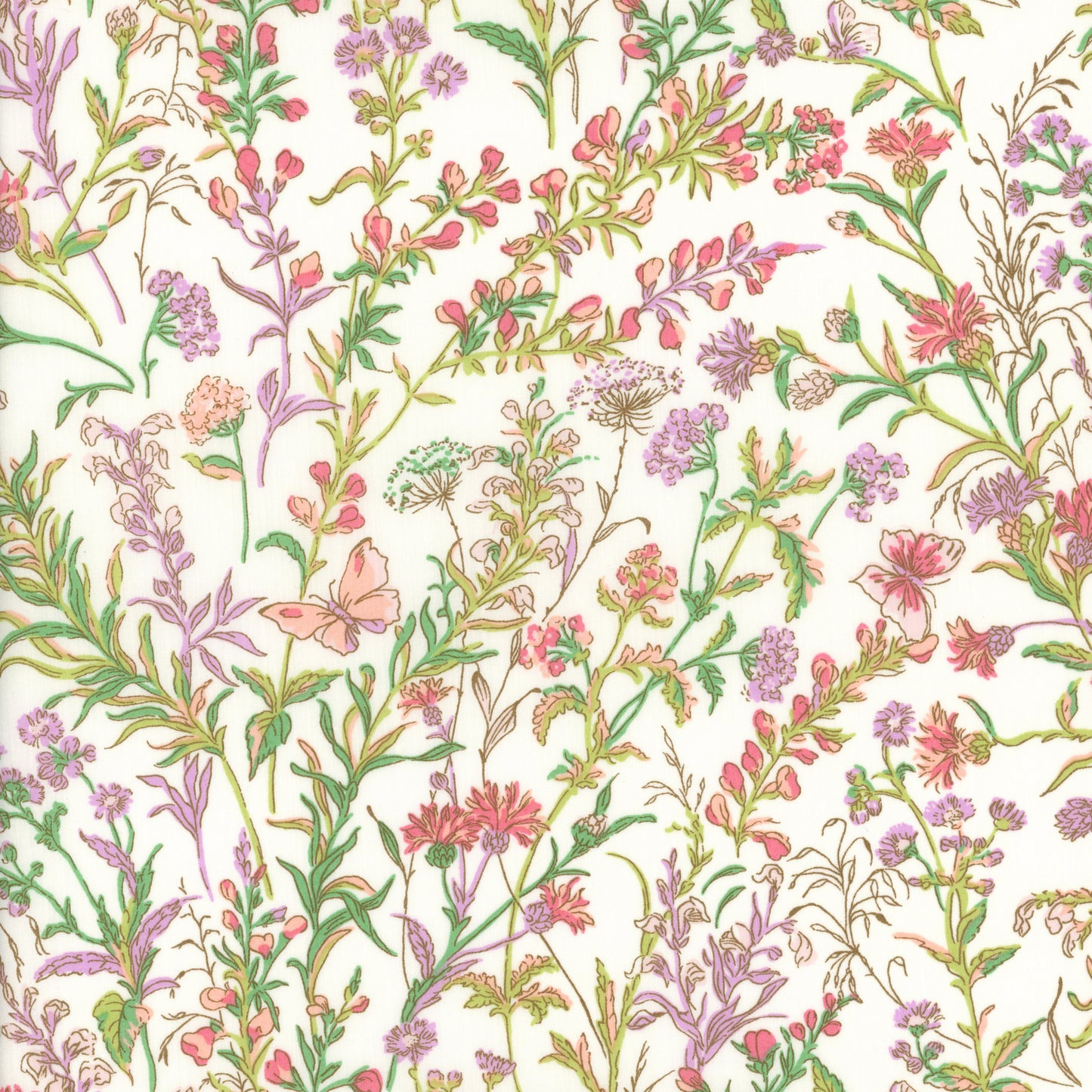 Butterfly Meadow (C)