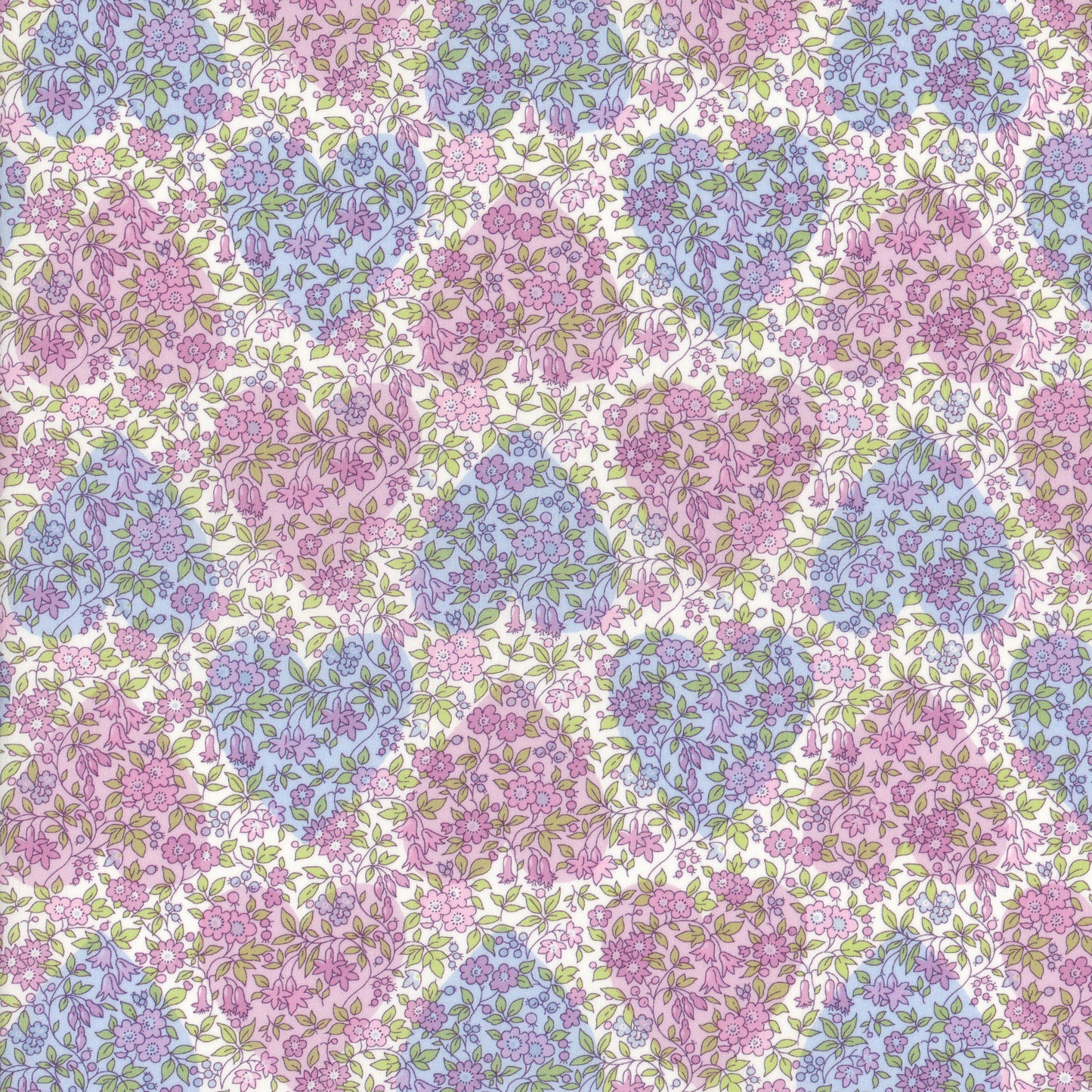 Chamomile Hearts (A)