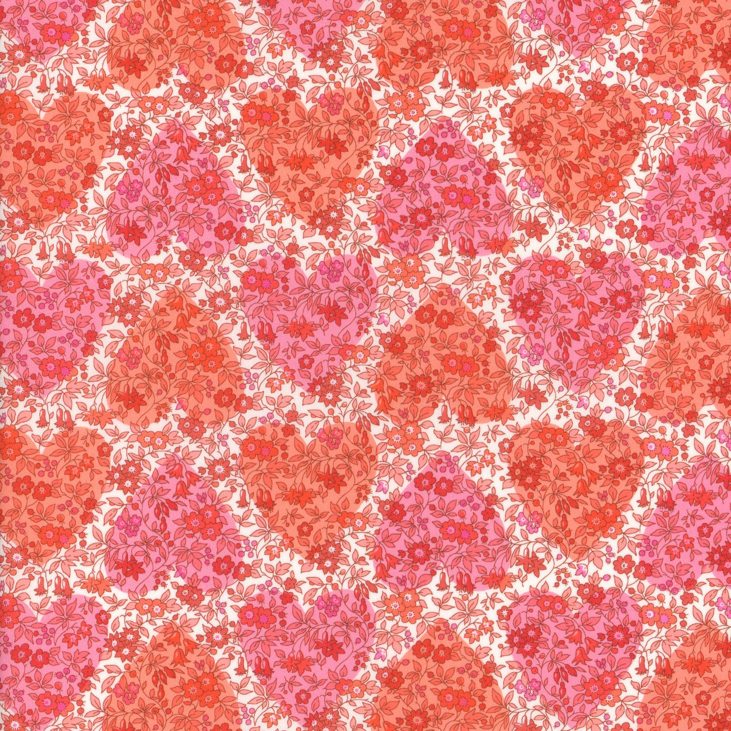 Chamomile Hearts (B)