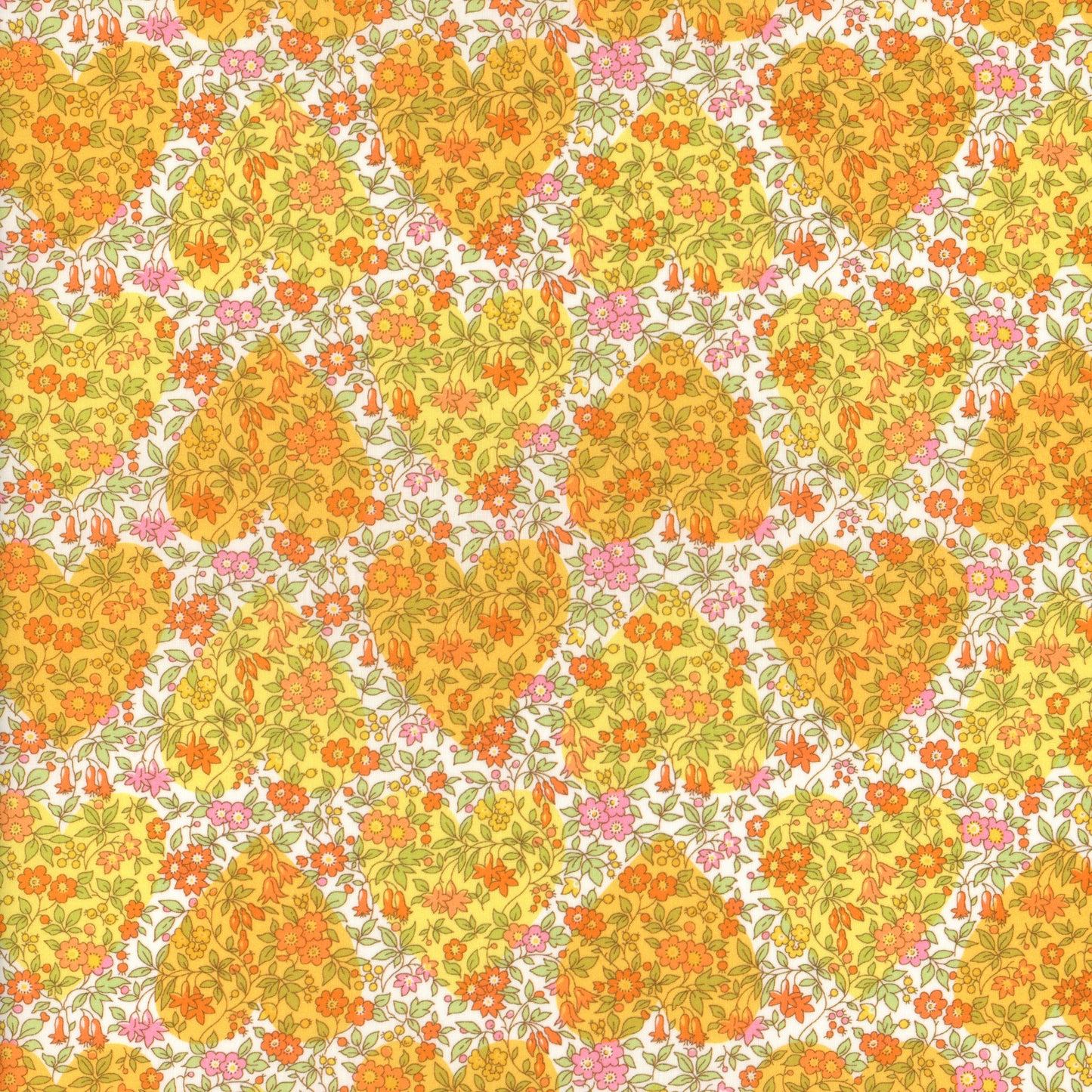 Chamomile Hearts (C)