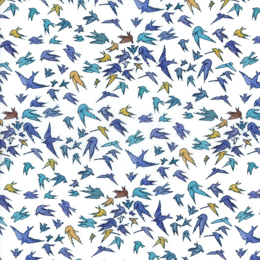 Organic Choir of Flyers (B)