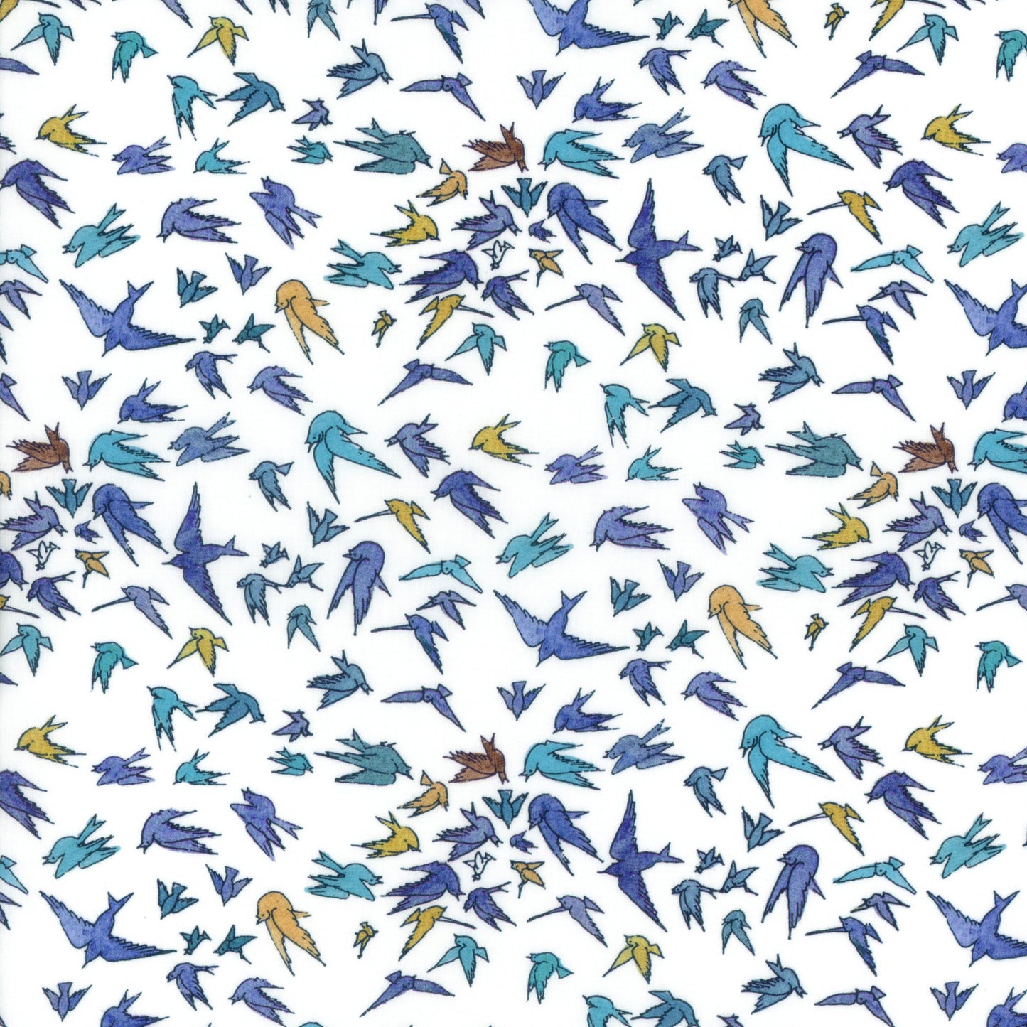 Organic Choir of Flyers (B)