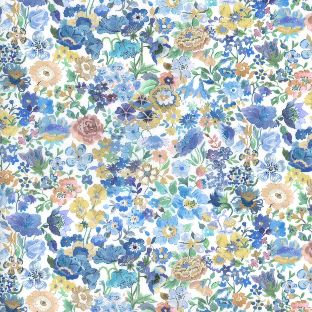 Classic Meadow (B)