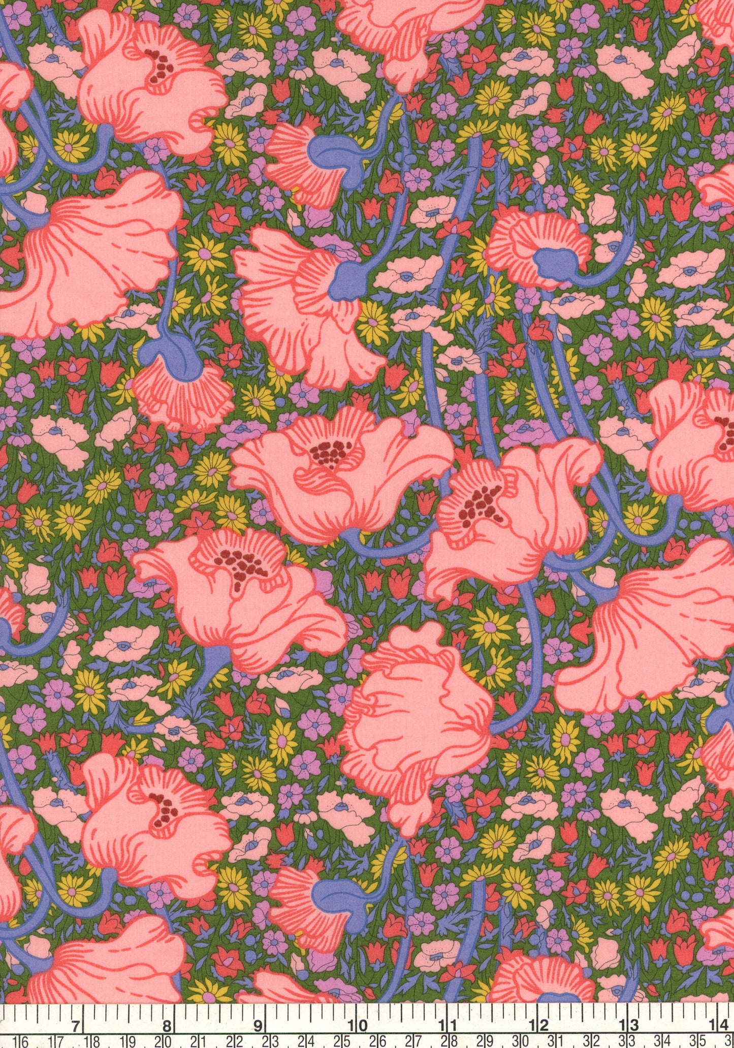 Clementina Daisy (A)