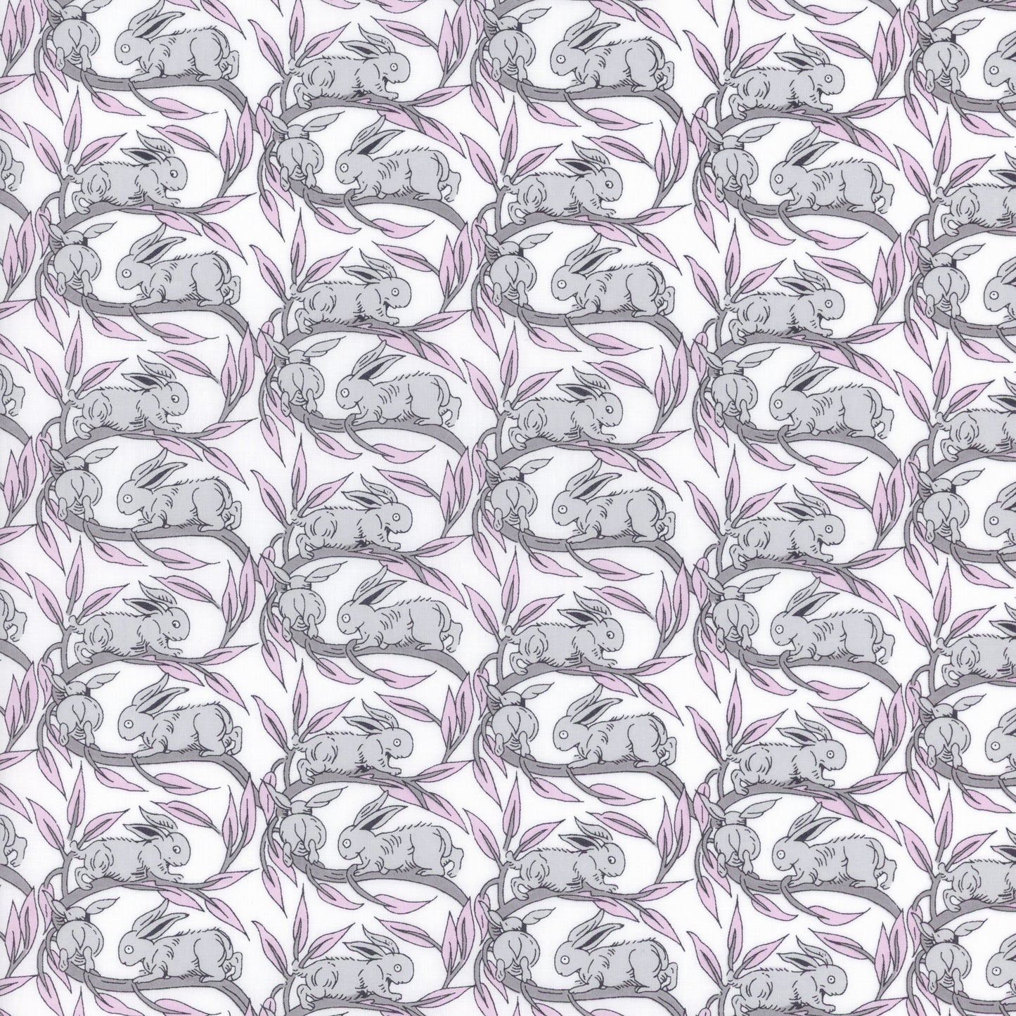 Cotton Tail (A)