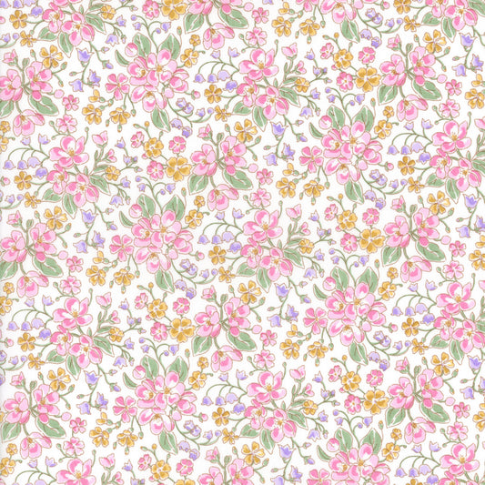 Daisy Annabel (B)