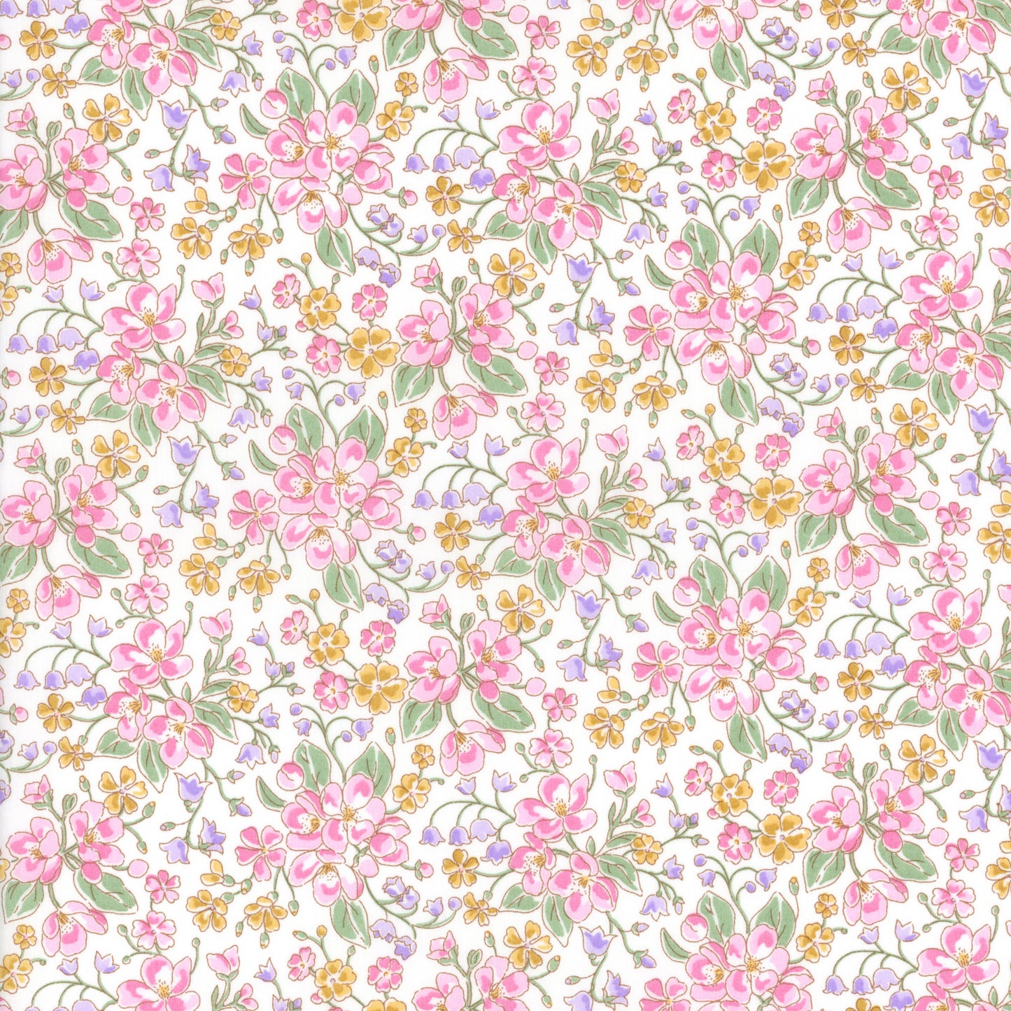 Daisy Annabel (B)