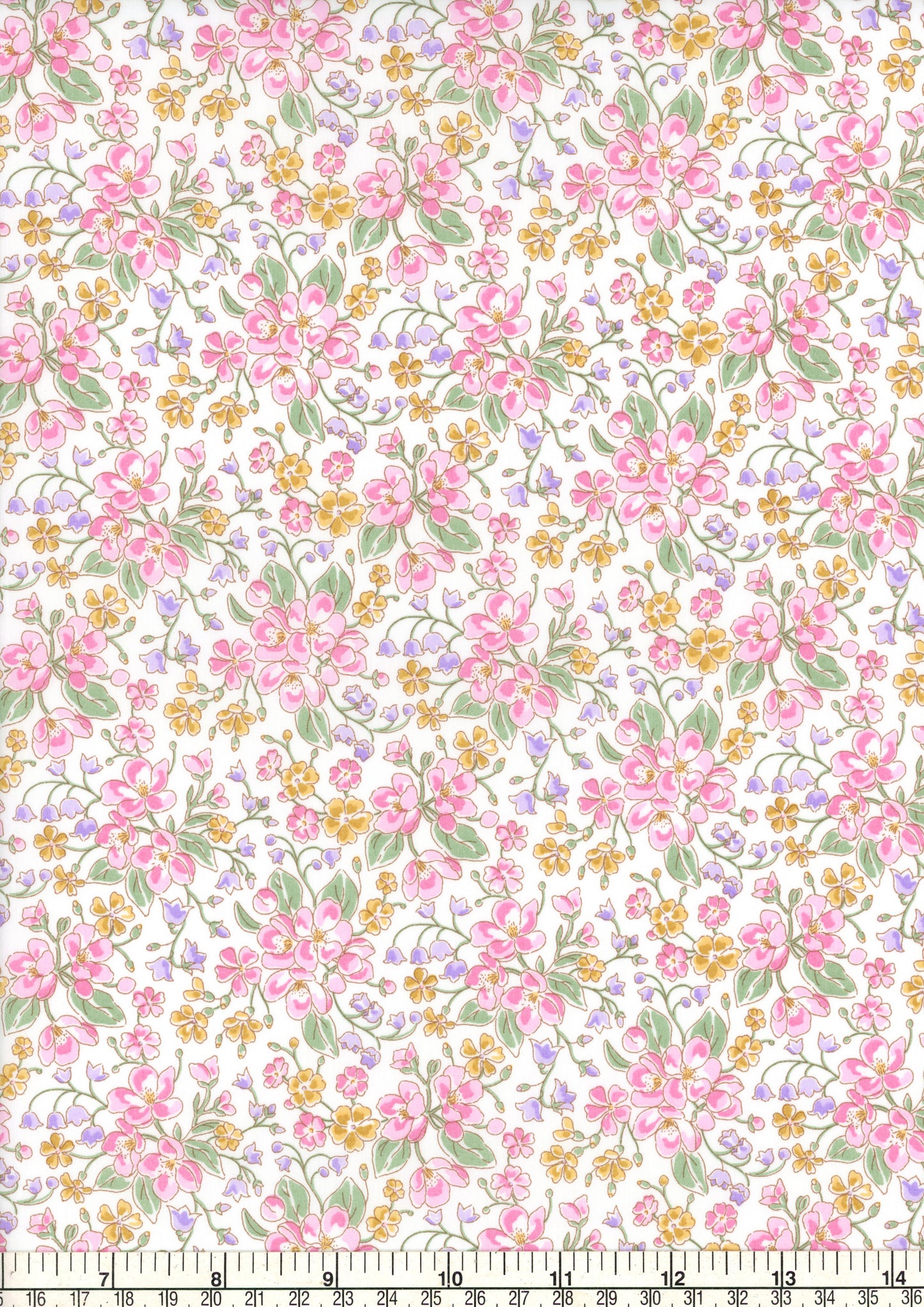 Daisy Annabel (B)