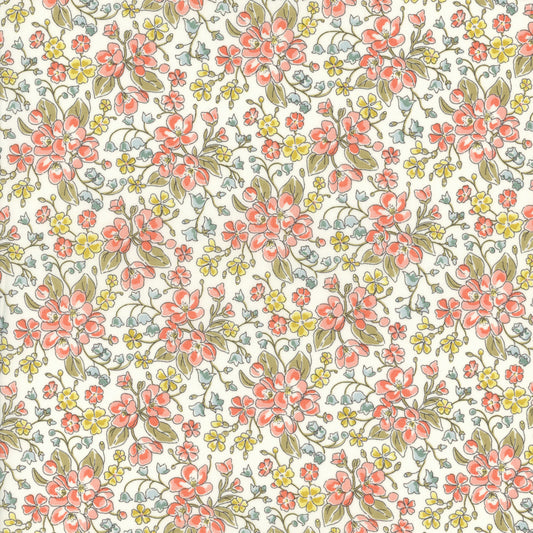 Daisy Annabel (C)