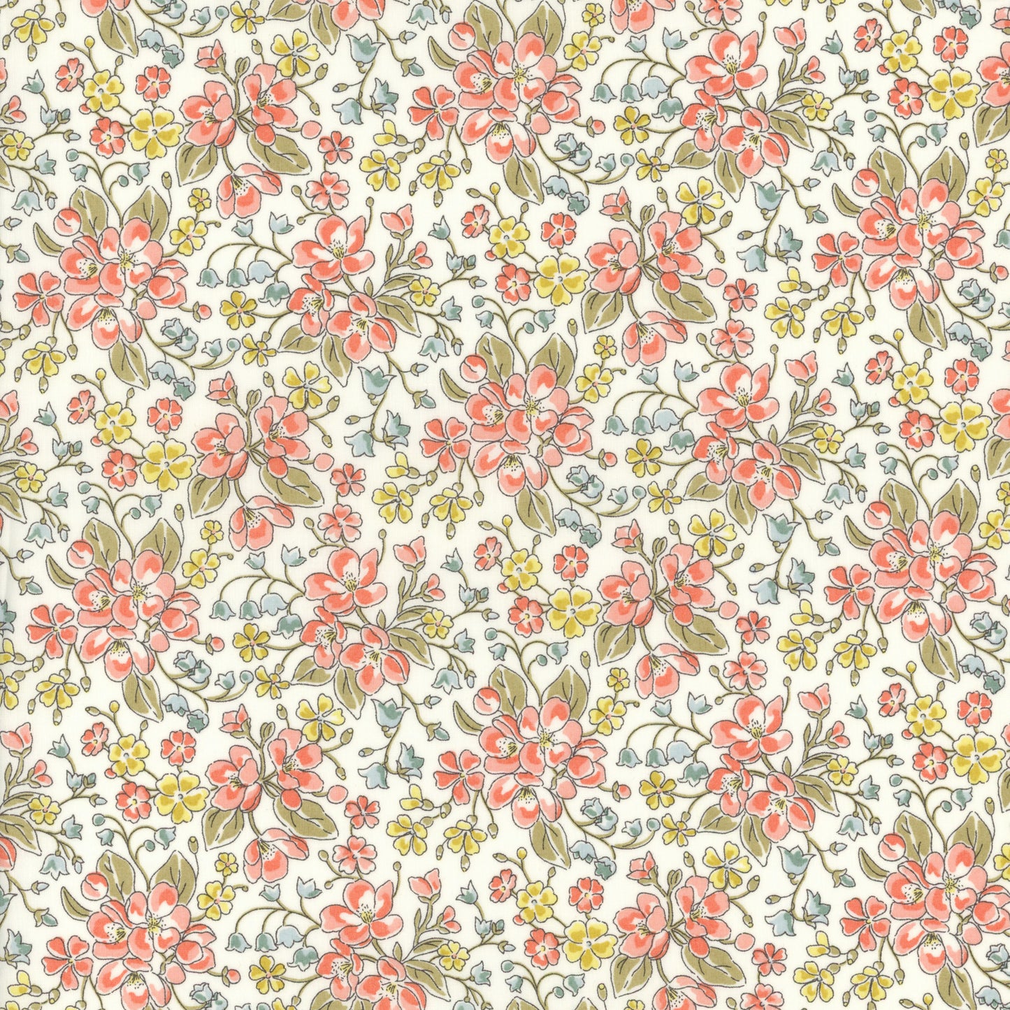 Daisy Annabel (C)