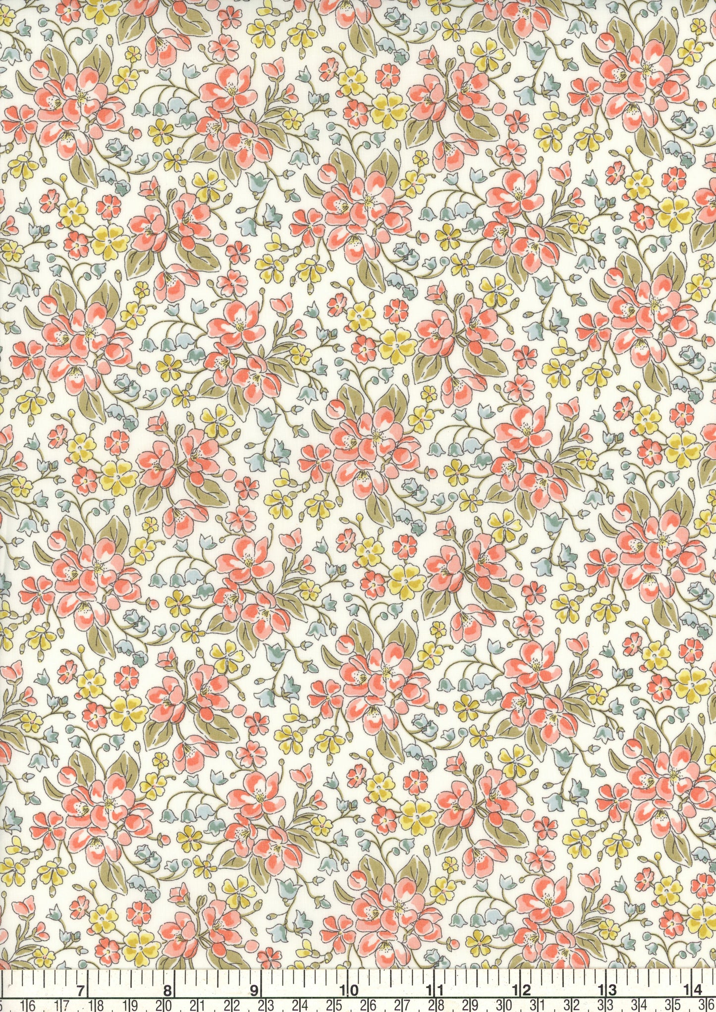 Daisy Annabel (C)