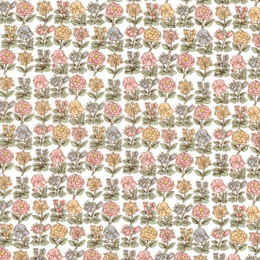 Davalia Flowers (A)