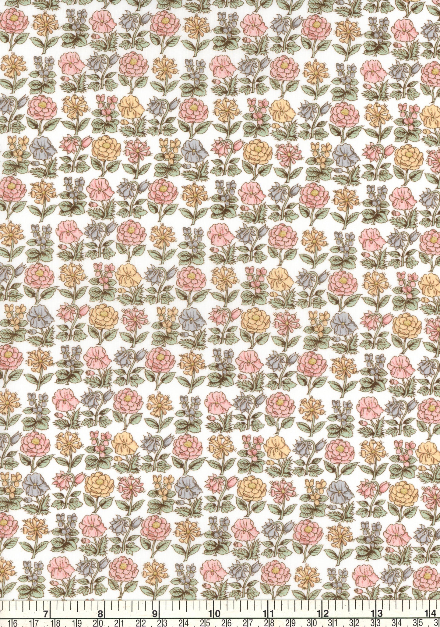 Davalia Flowers (A)