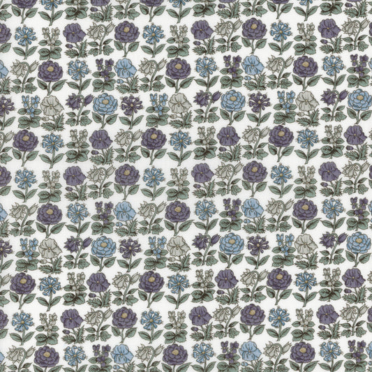 Davalia Flowers (B)
