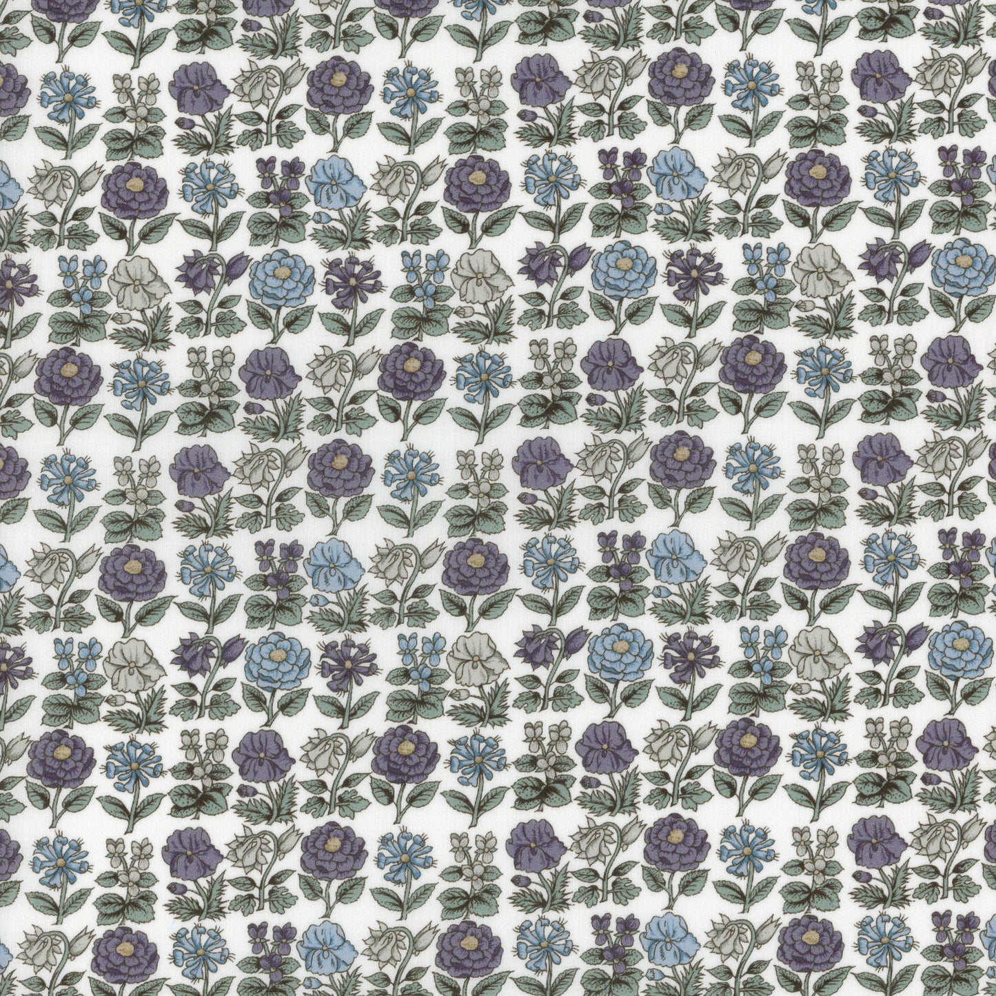 Davalia Flowers (B)