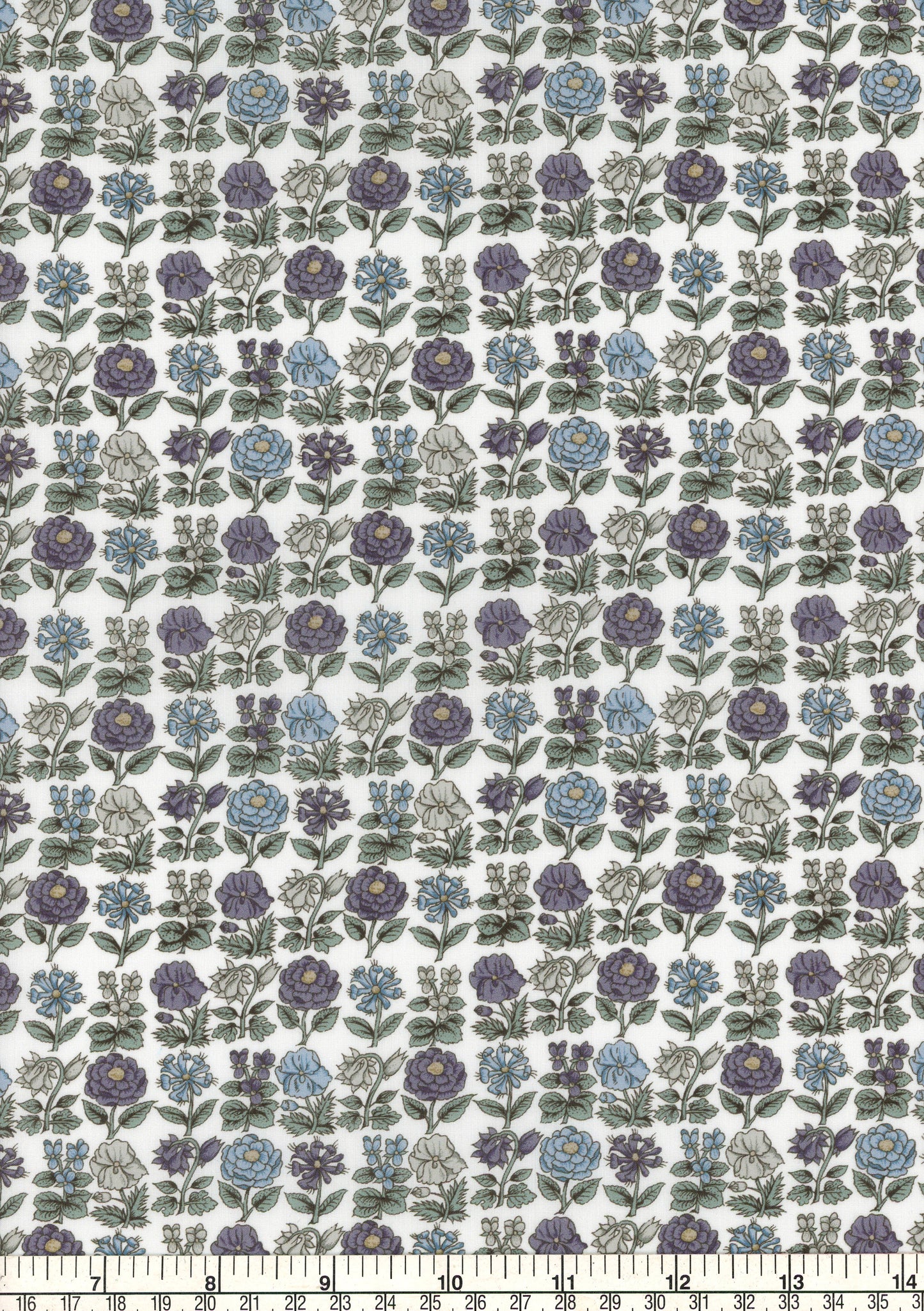 Davalia Flowers (B)