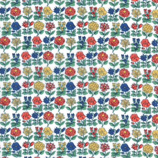 Davalia Flowers (C)