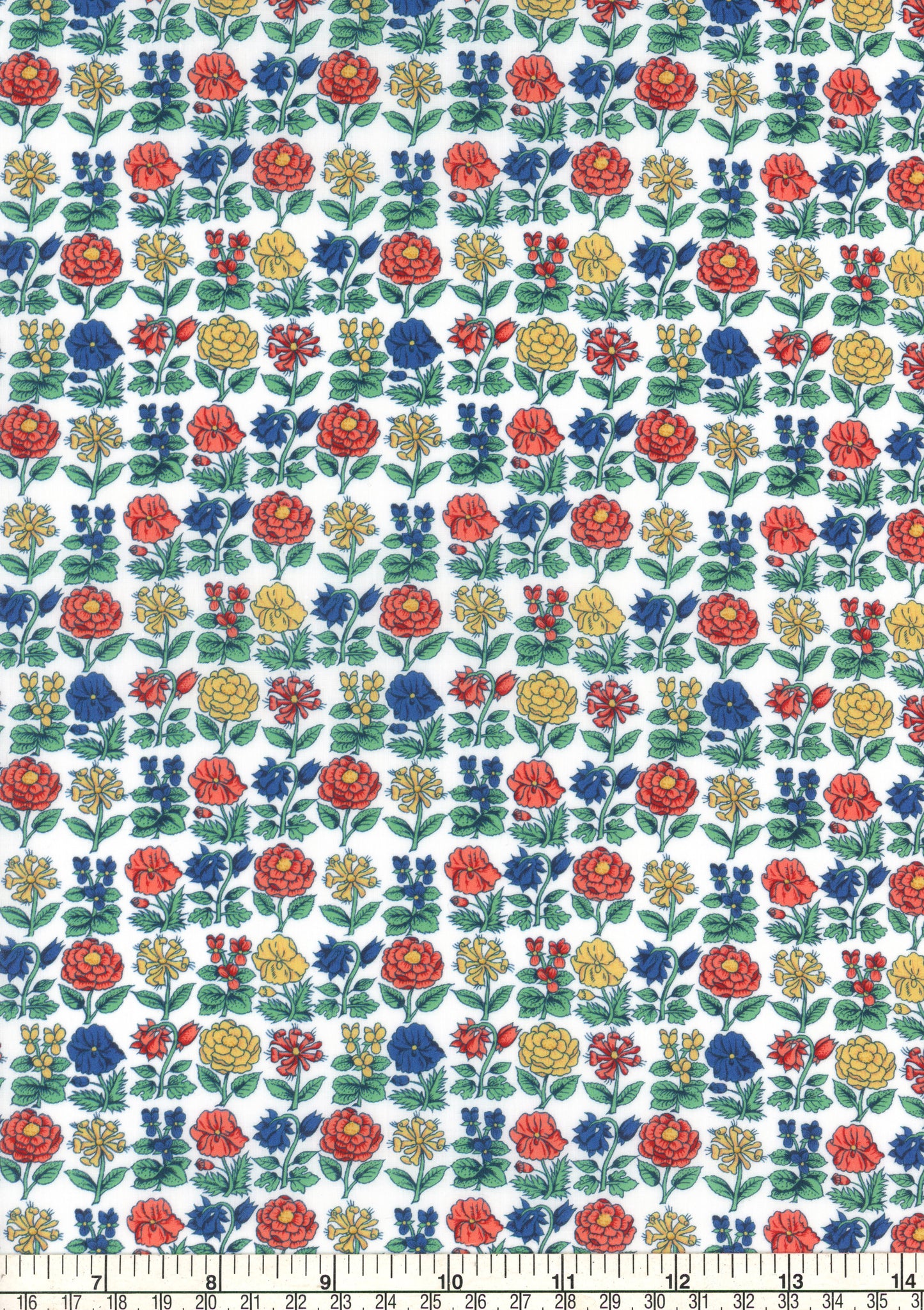 Davalia Flowers (C)