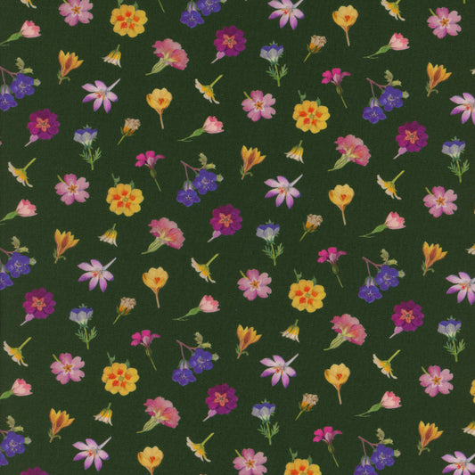 Devon Petals (Y)