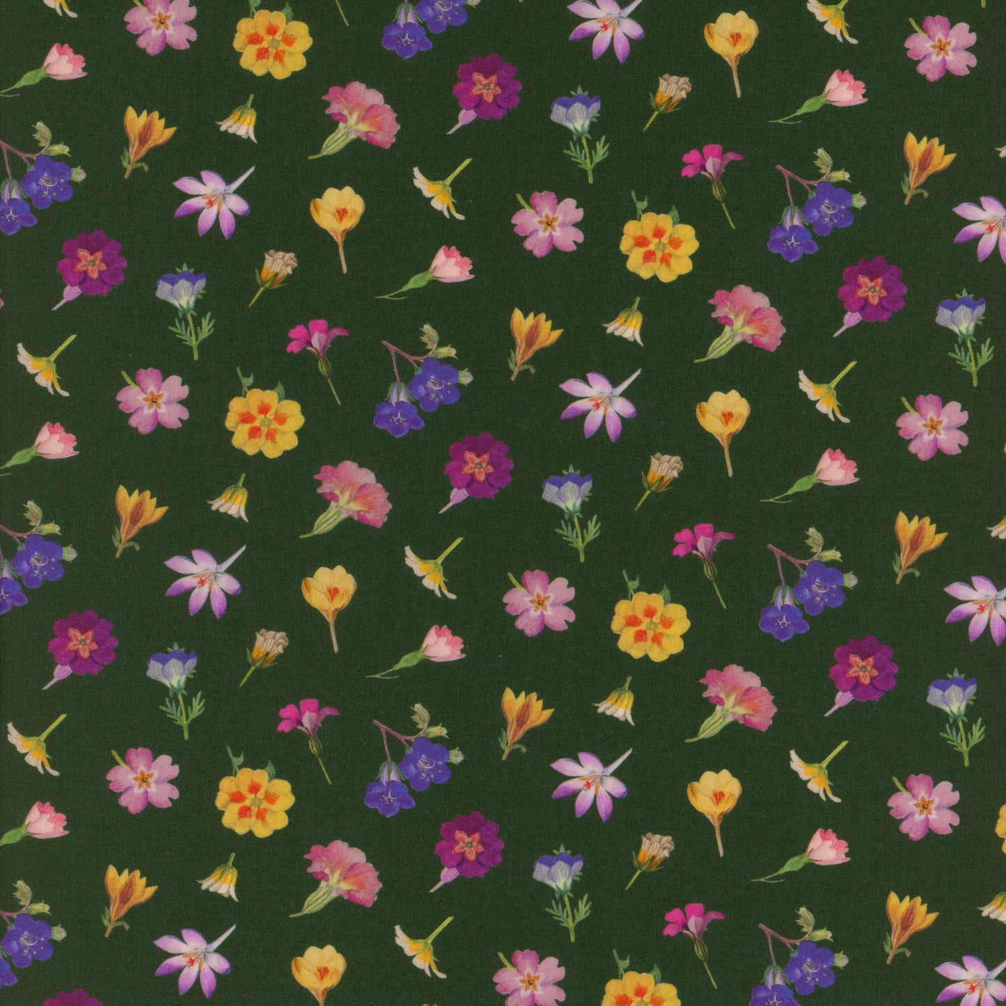 Devon Petals (Y)