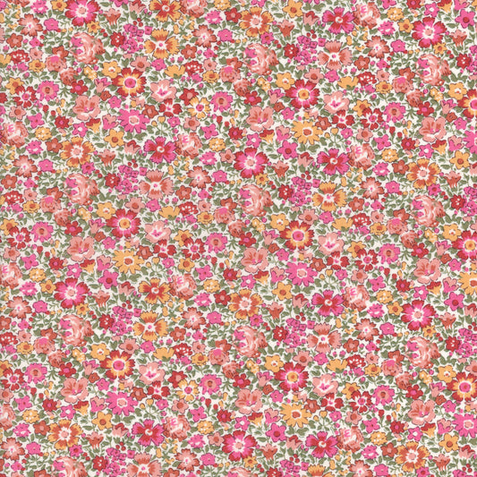Dora Daisy (A)