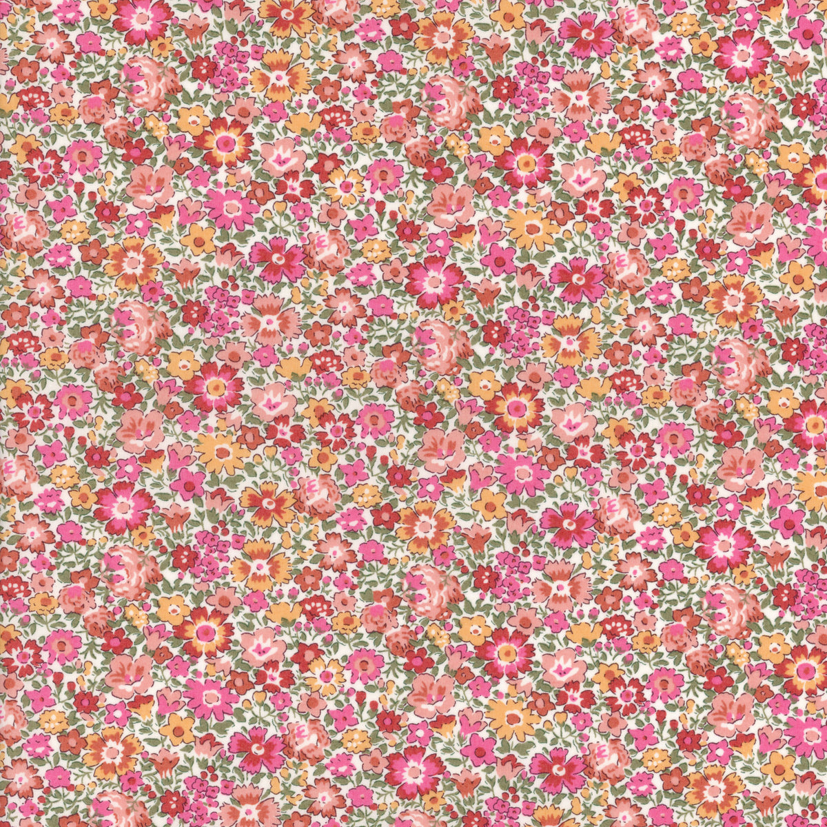 Dora Daisy (A)